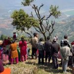 नुवाकोटको बेलकोटगढीमा रुख काट्ने क्रममा एकको मृत्यु, दुई घाइते