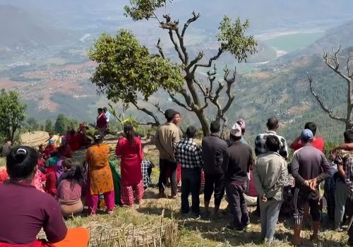 नुवाकोटको बेलकोटगढीमा रुख काट्ने क्रममा एकको मृत्यु, दुई घाइते