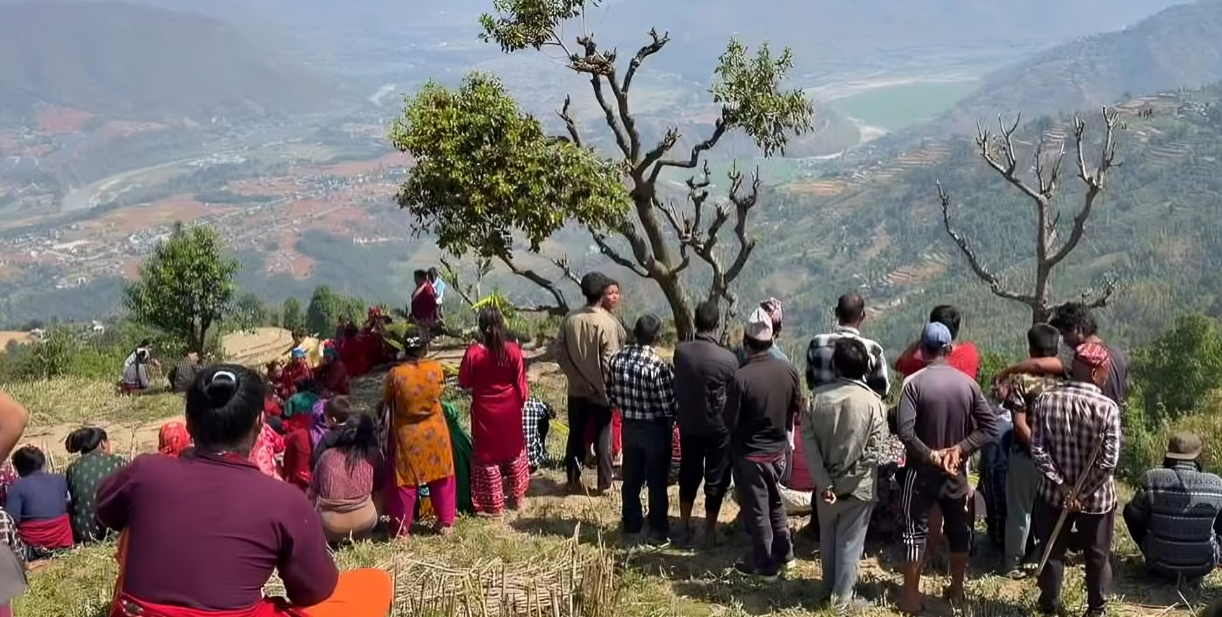 नुवाकोटको बेलकोटगढीमा रुख काट्ने क्रममा एकको मृत्यु, दुई घाइते